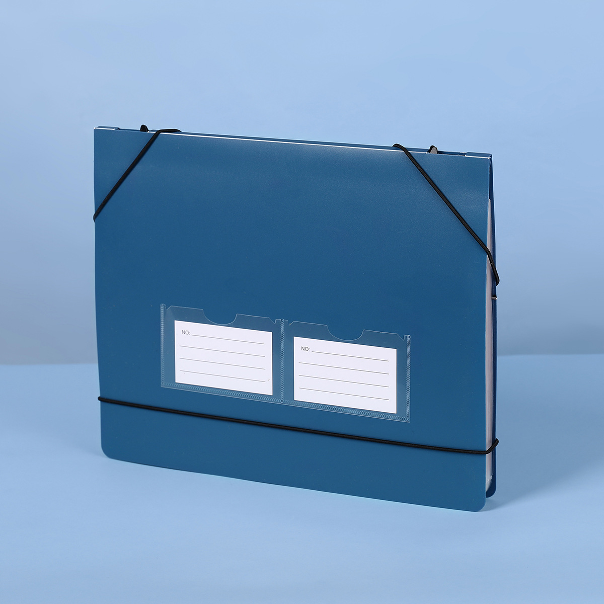 Hanging Accordion File Folder  - đánh giá và giá Expandable Accordion File Folder 13 Pockets